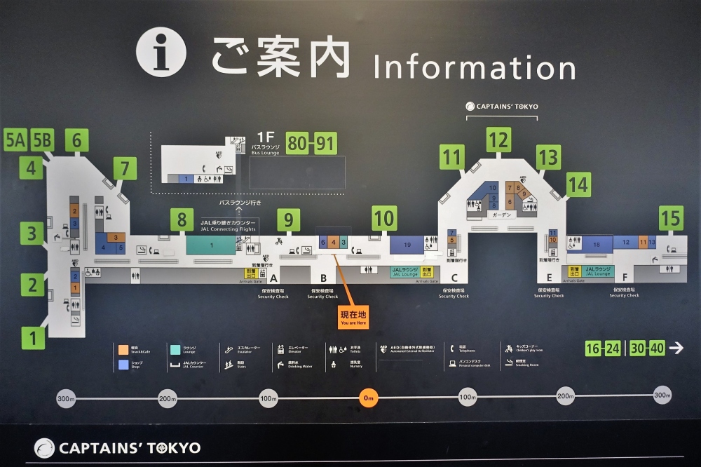 羽田空港国内線JALサクララウンジに行ってみよう！利用条件や料金、サービス内容を詳しく解説