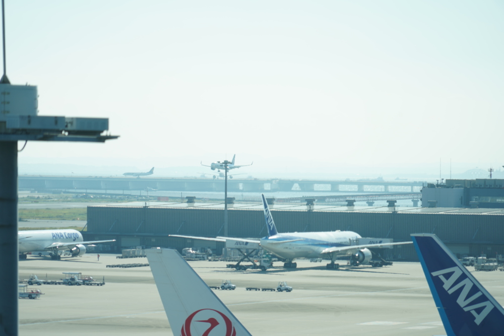 羽田空港国際線ビルJALサクララウンジスカイビュー の眺望
