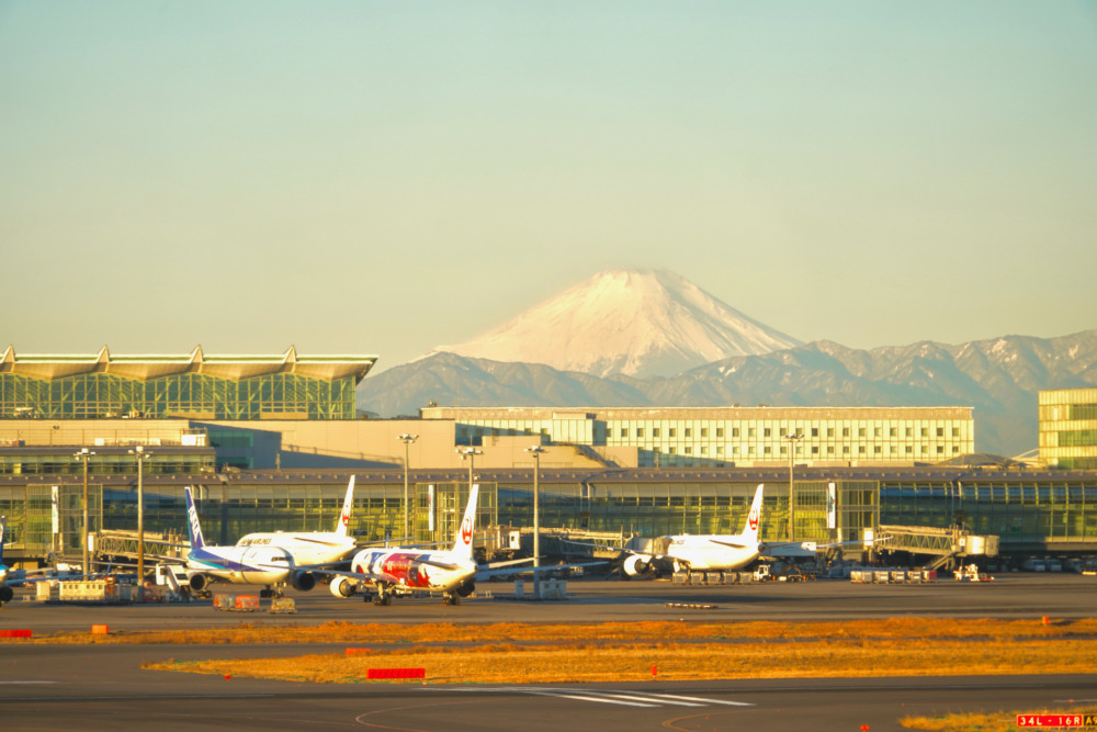 羽田空港JALサクララウンジ・ダイニングエリアから眺める富士山
