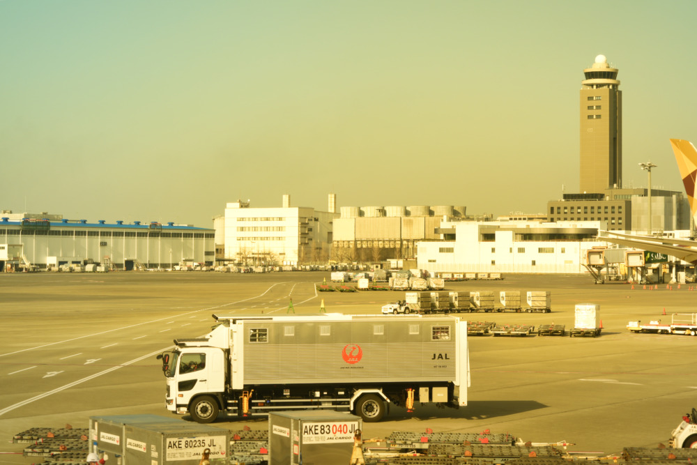 ZIPAIRフルフラット搭乗記・サンノゼ線・成田空港に到着