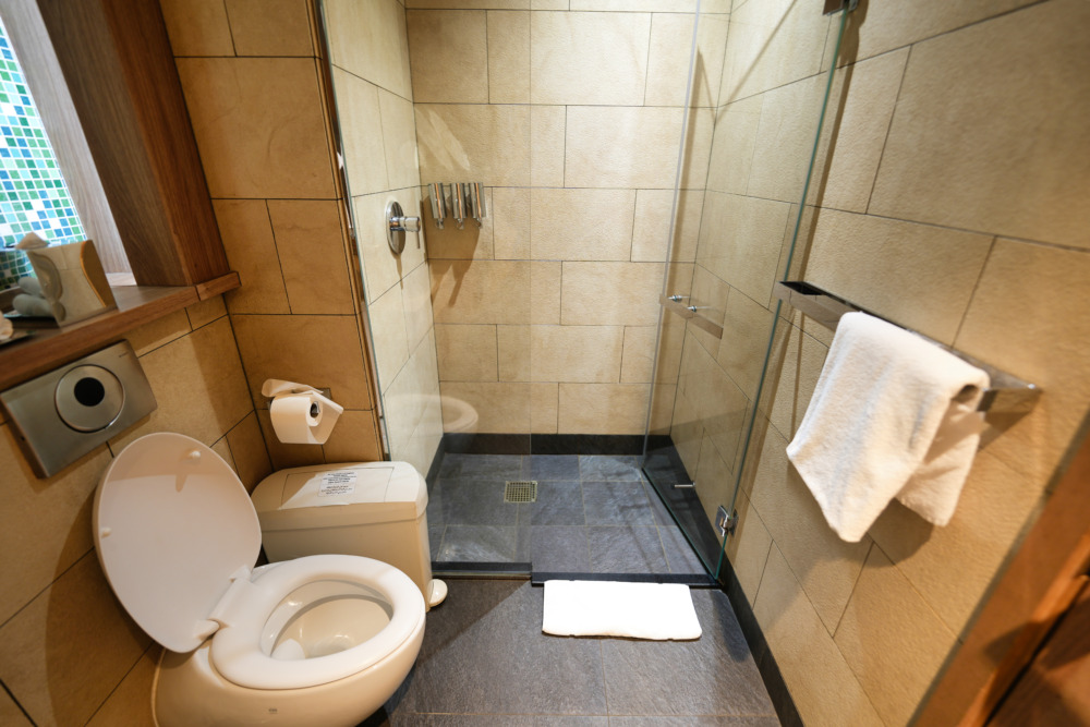 アブダビ国際空港ターミナル3ビジネスクラスラウンジ訪問記・　トイレの中のシャワー室2
